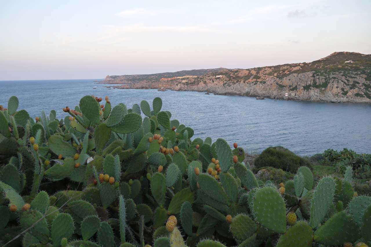 P1070540