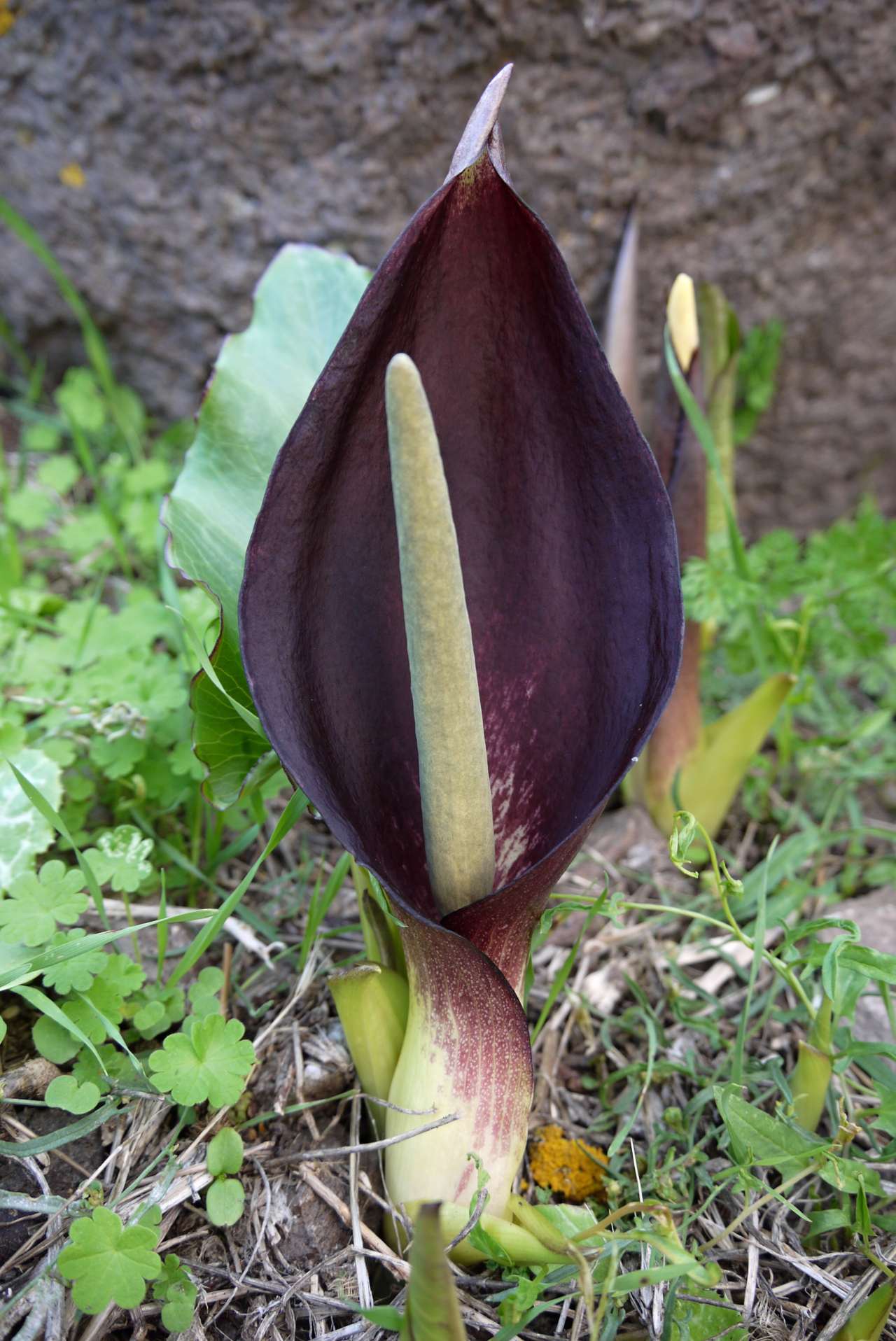 P1070017
