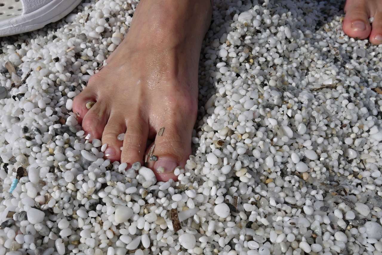 P1070088