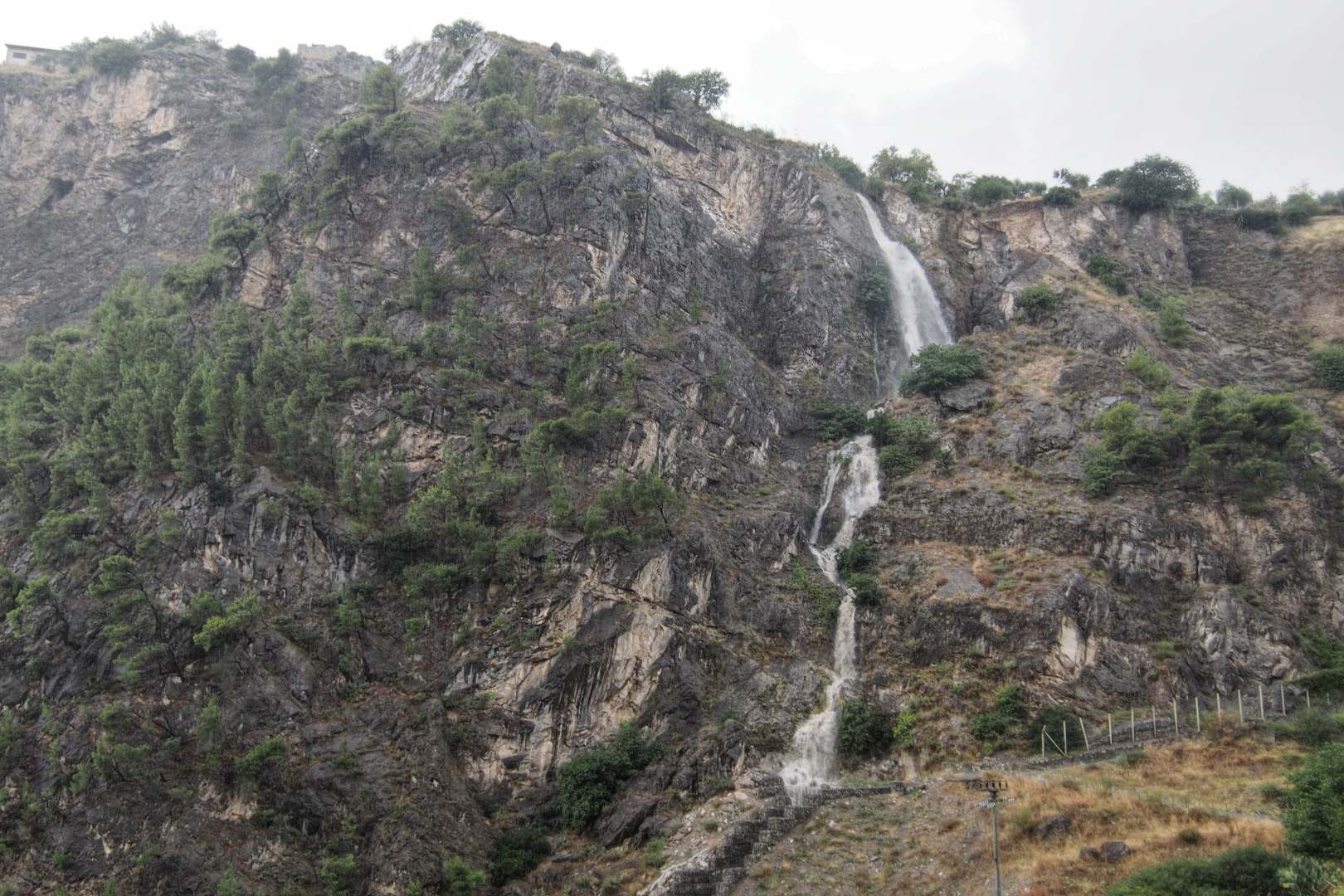 P9060246